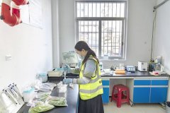 强取卫健、农业农村、教育等部分的消息共享取