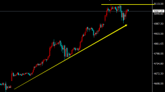 <b>支撑贵金属1秒查</b>