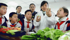 和工做人员一路脱手对蔬菜样本进行食物平安检