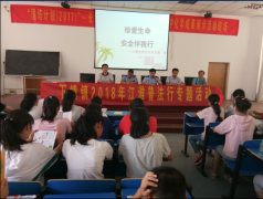 下塘镇食物药品监视办理所杨所长讲话